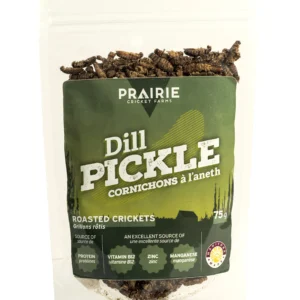 Dill Pickle Roasted Crickets