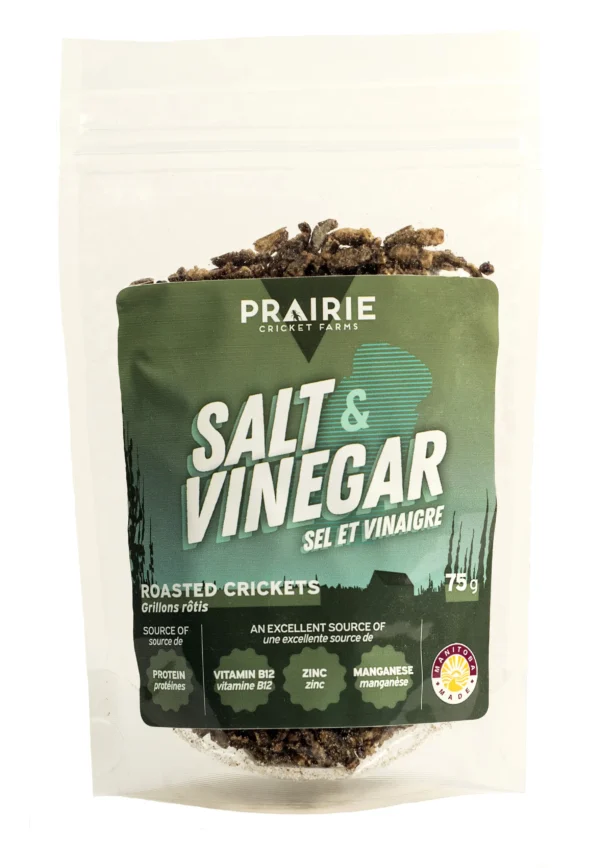 Salt & Vinegar Roasted Crickets